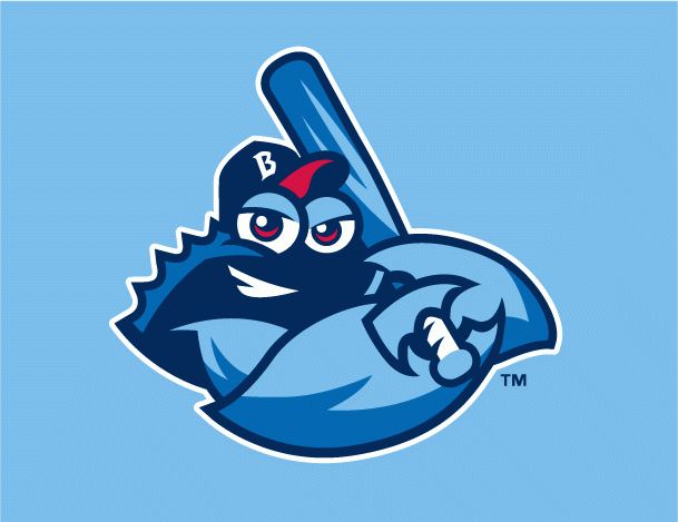 Lakewood BlueClaws 2010-Pres Cap Logo 4 iron on paper